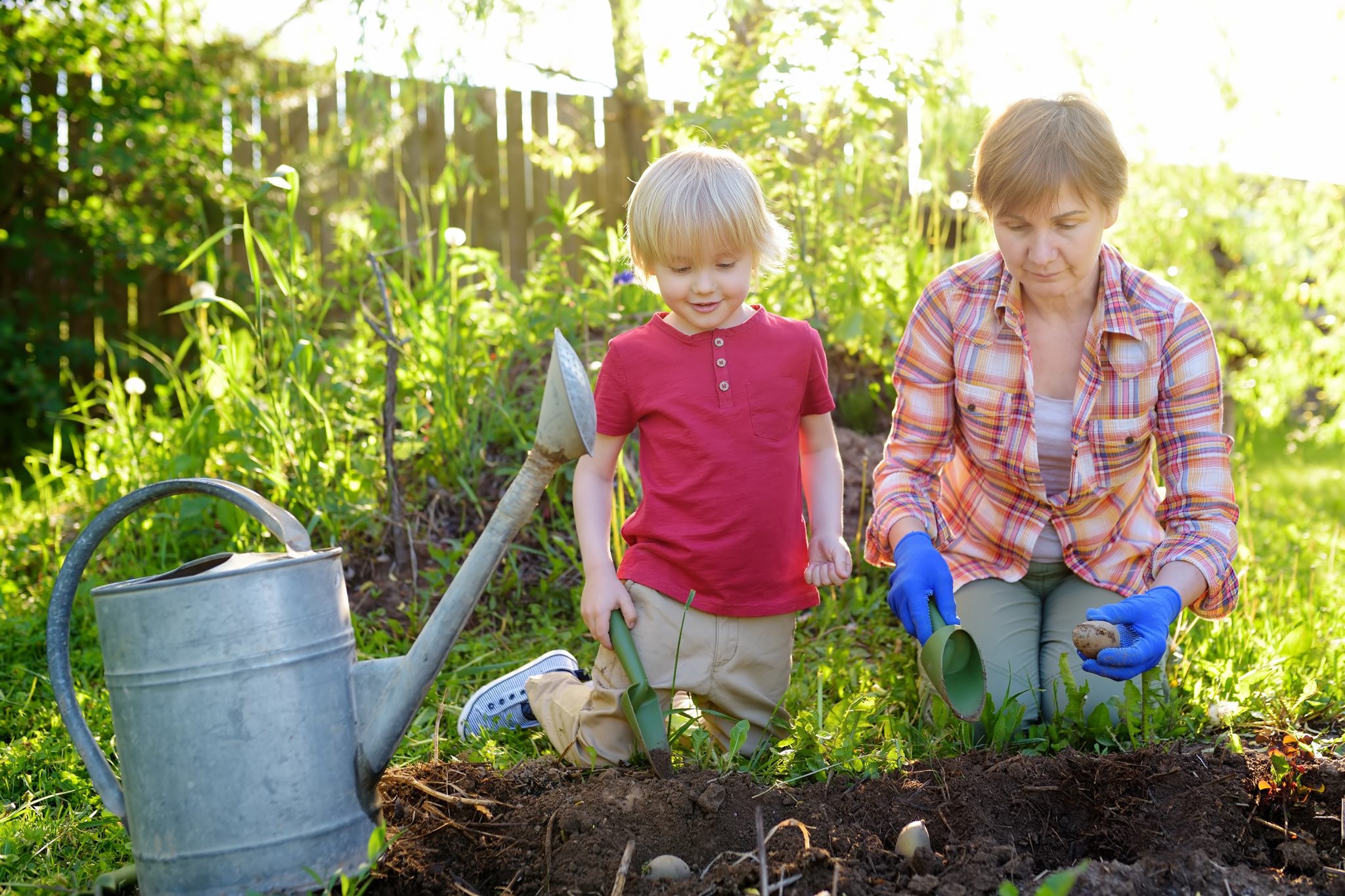 Little child and woman planting seeds in the backyard.