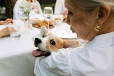 A woman holds a dog at a social dinner outside.